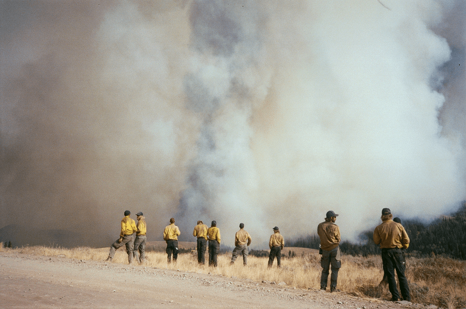 Wildland firefighters